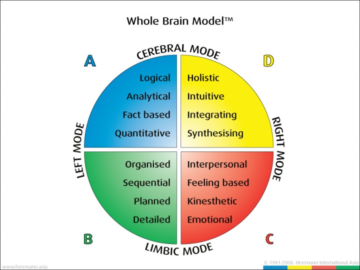 Whole-Brain-Model